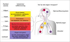 Utsug ACD 220 MD Ex: Det är farligt att andas in gas och ångor från tex resin, isopropanol , industrisprit, lim , rengöringsmedel mm